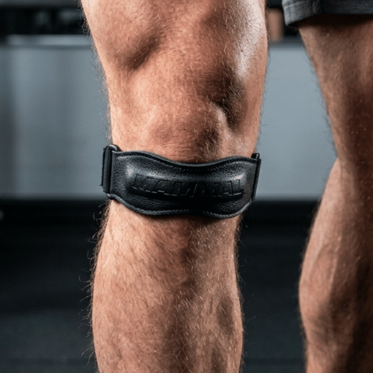 Mammal Strength patella knee strap worn on knee for patellar tendon support during gym training
