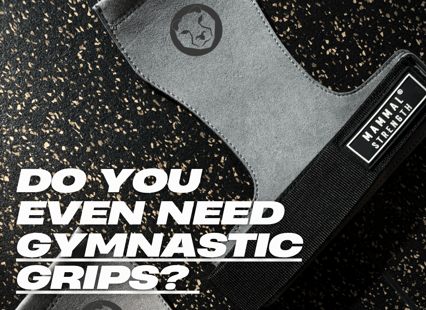 Do You Even Need Gymnastic Grips? (If You Want Your Hands Intact — Yes.) - Mammal Strength 