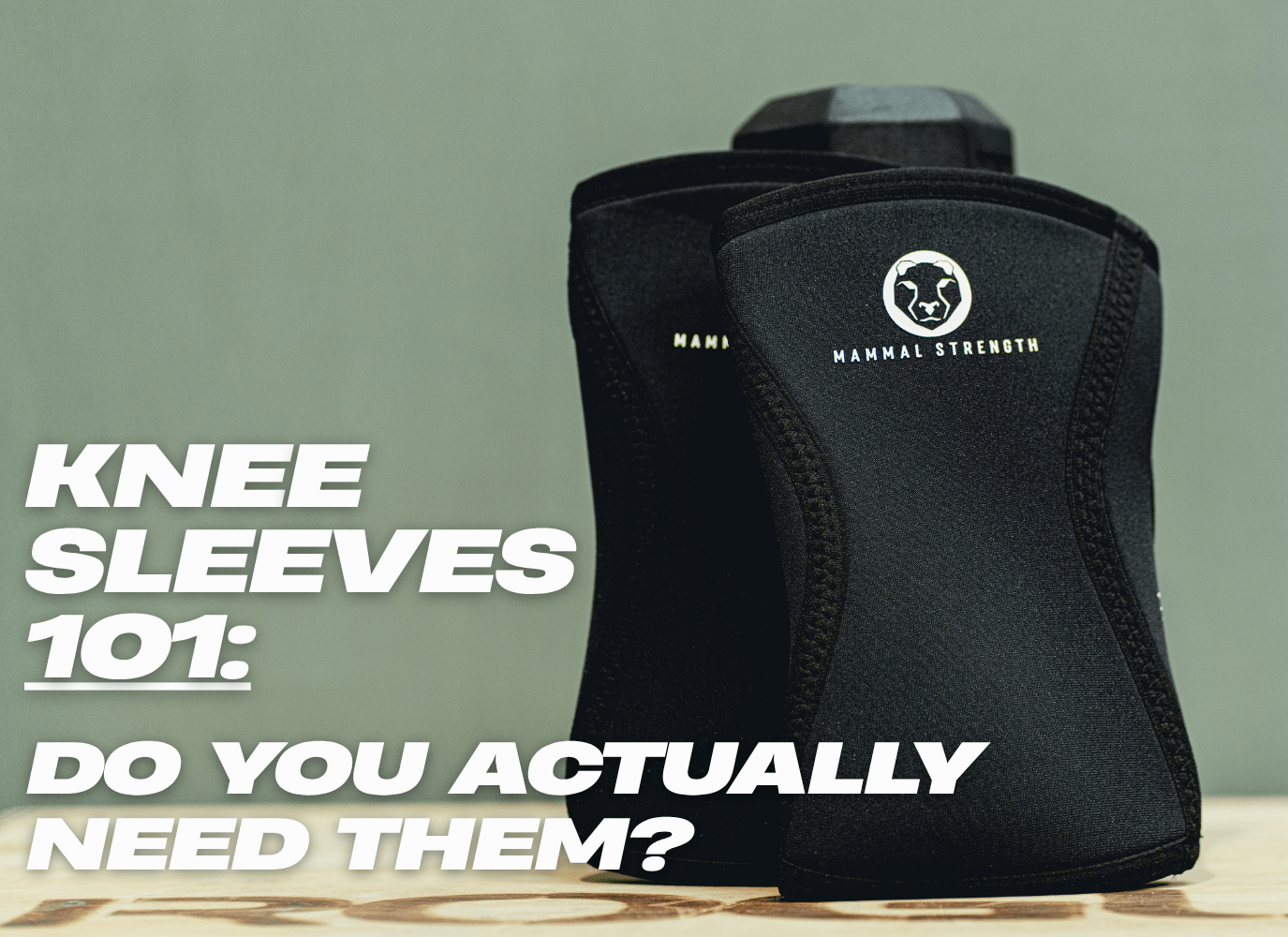 Knee Sleeves 101: Do You Actually Need Them? - Mammal Strength 