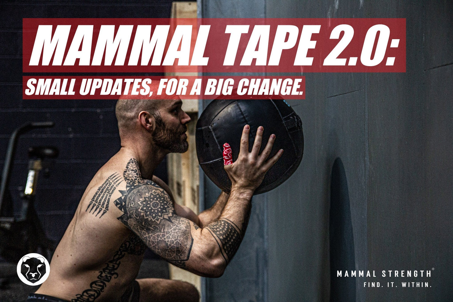 MAMMAL TAPE 2.0: SMALL UPDATES, FOR A BIG CHANGE. - Mammal Strength