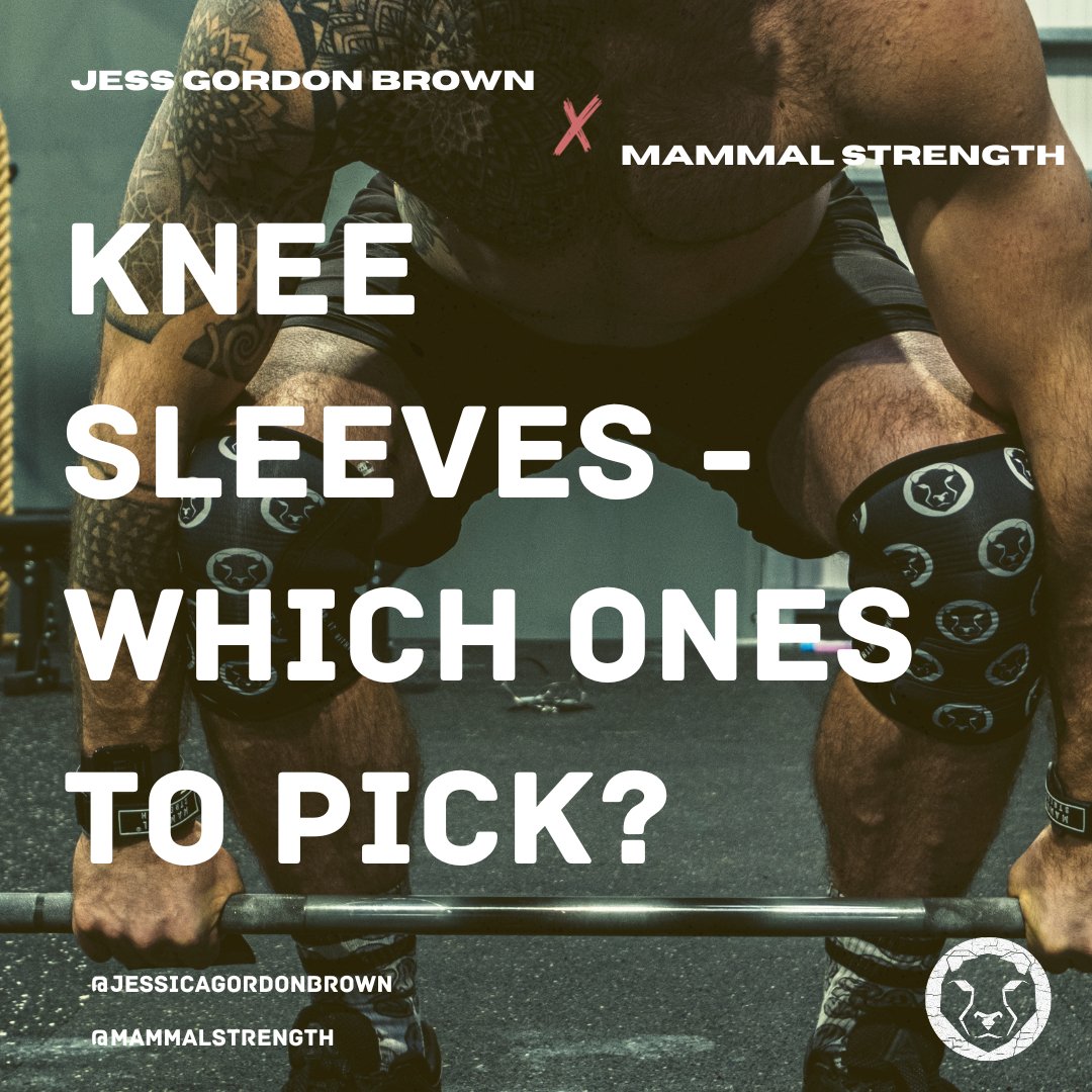 Knee Sleeves -  Which ones to pick? - Mammal Strength