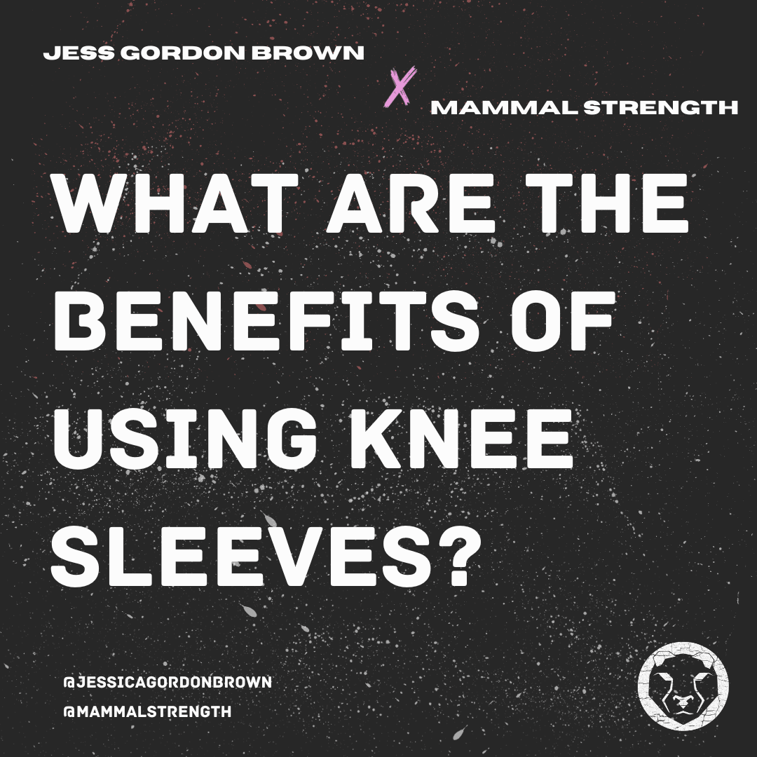 What are the benefits of using knee sleeves? - Mammal Strength 