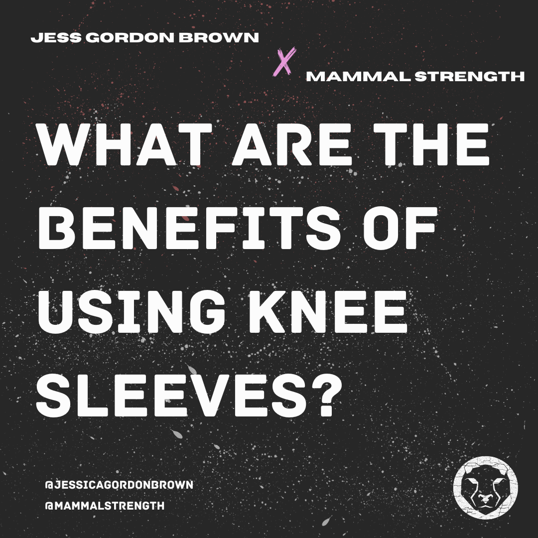 What are the benefits of using knee sleeves? - Mammal Strength