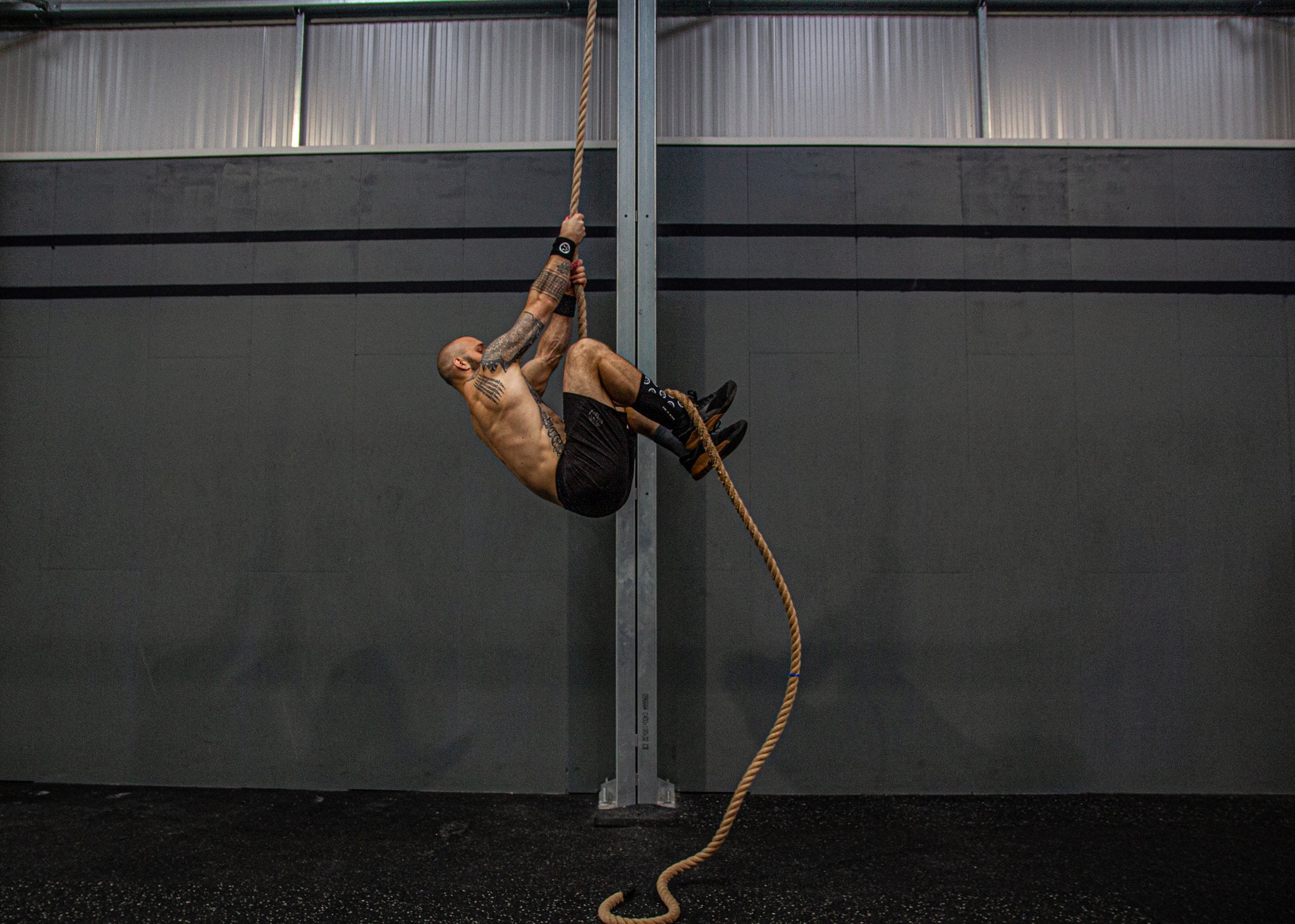 Gear - Mammal Strength