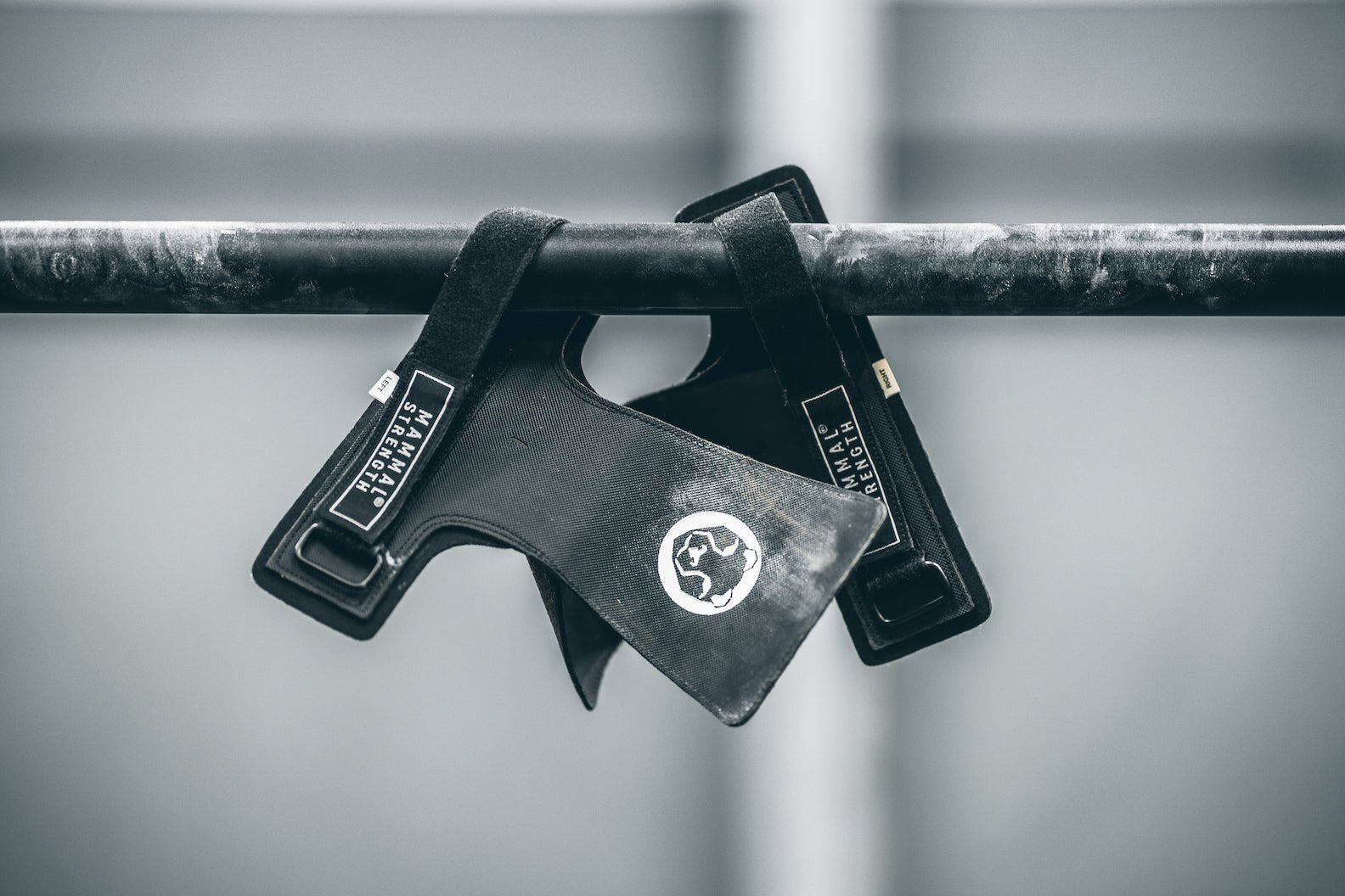 Hand Grips - Mammal Strength