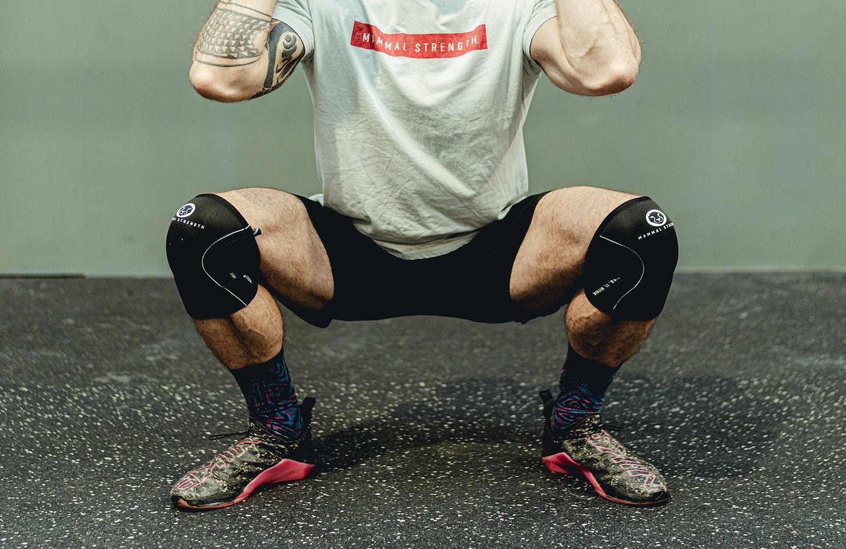 Knee Sleeves - Mammal Strength