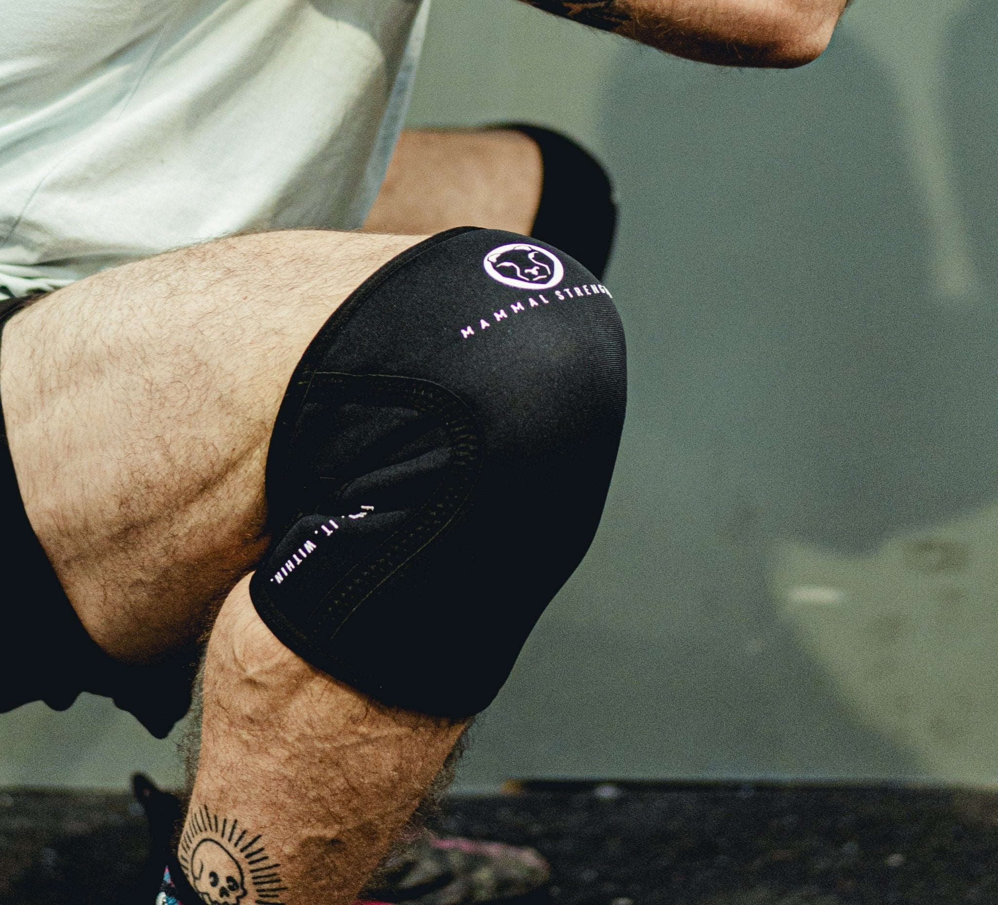 V2 Knee Sleeves - Mammal Strength 