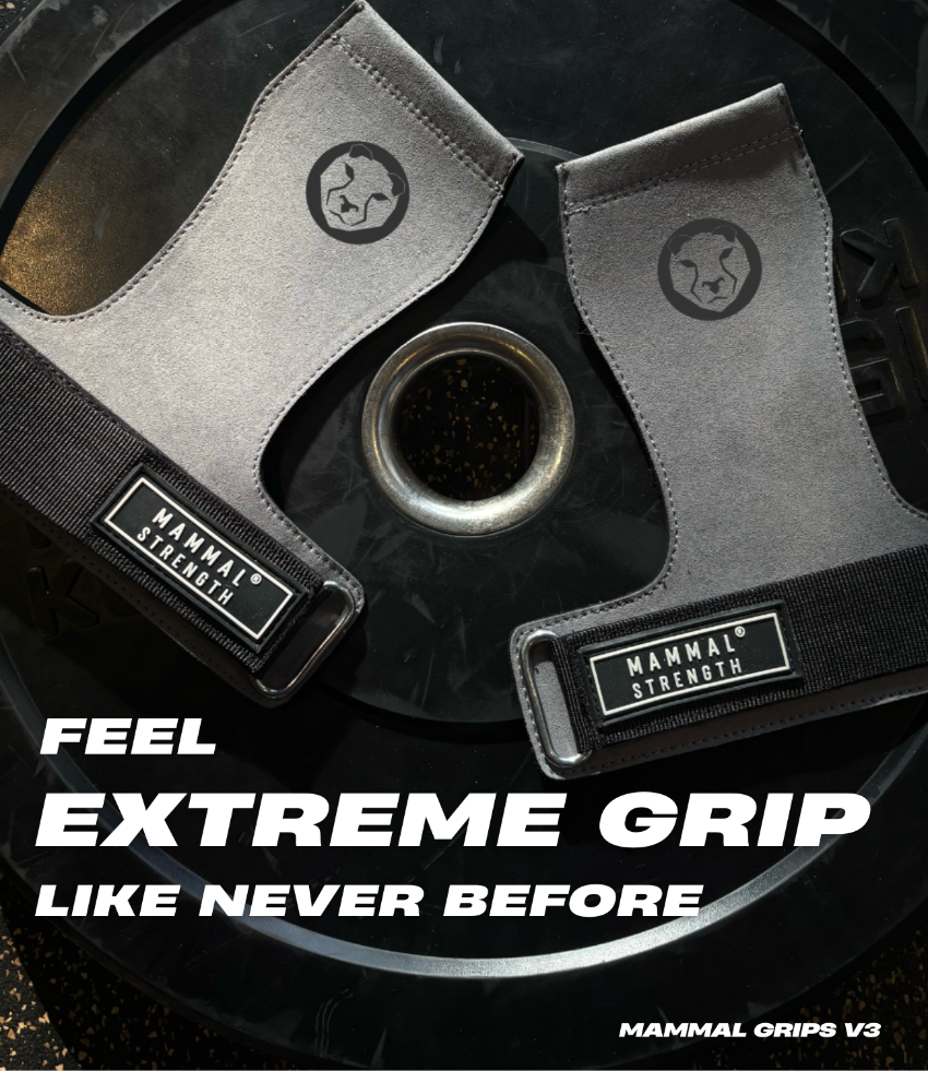 Crossfit Gym Hand Grips