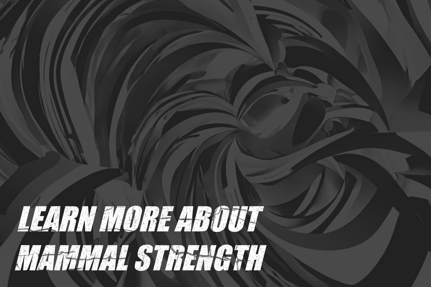 Learn more about Mammal Strength