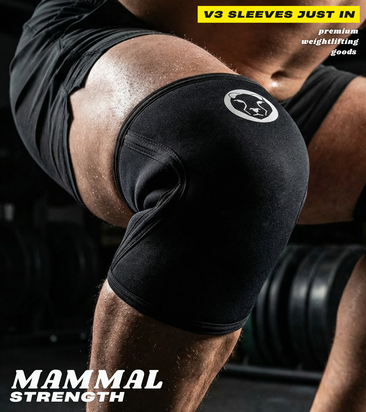 Person wearing a black knee sleeve with 'Mammal Strength' branding, lifting weights.