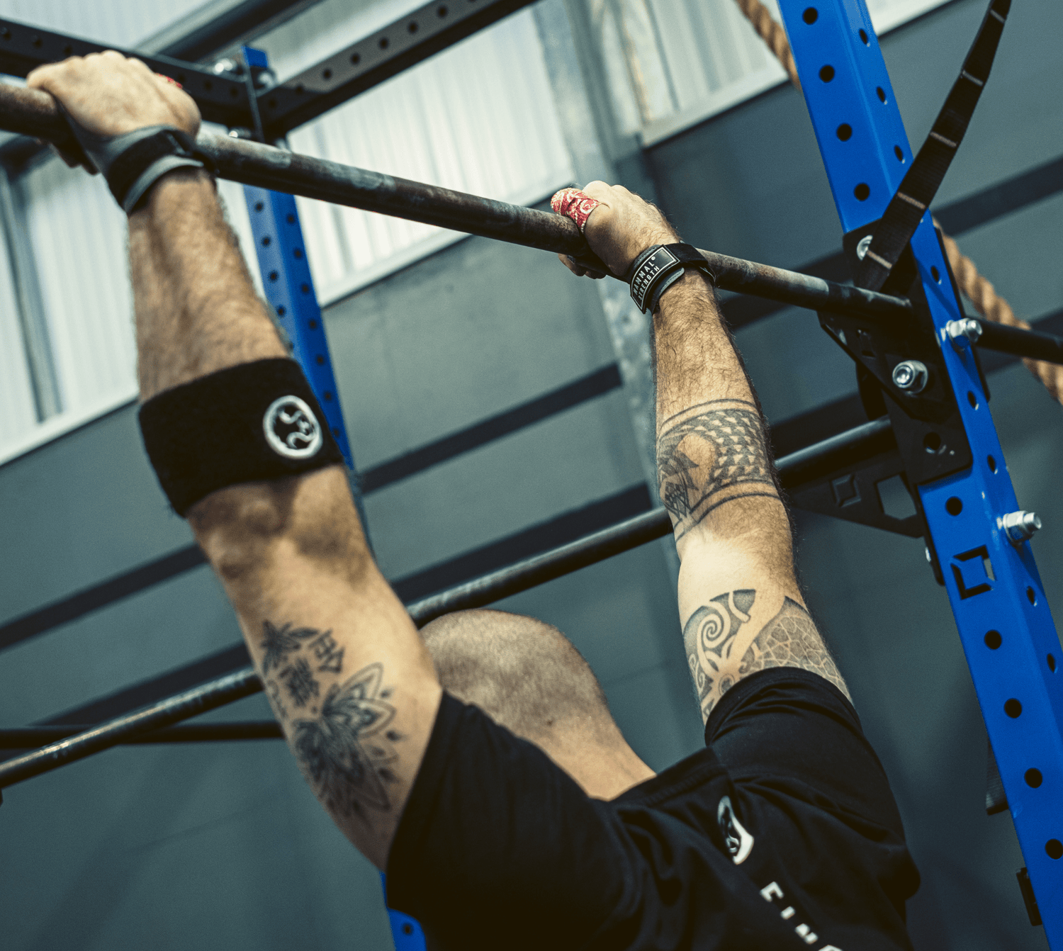Mammal Strength V3 Gymnastic Hand Grips (United States) - Mammal Strength