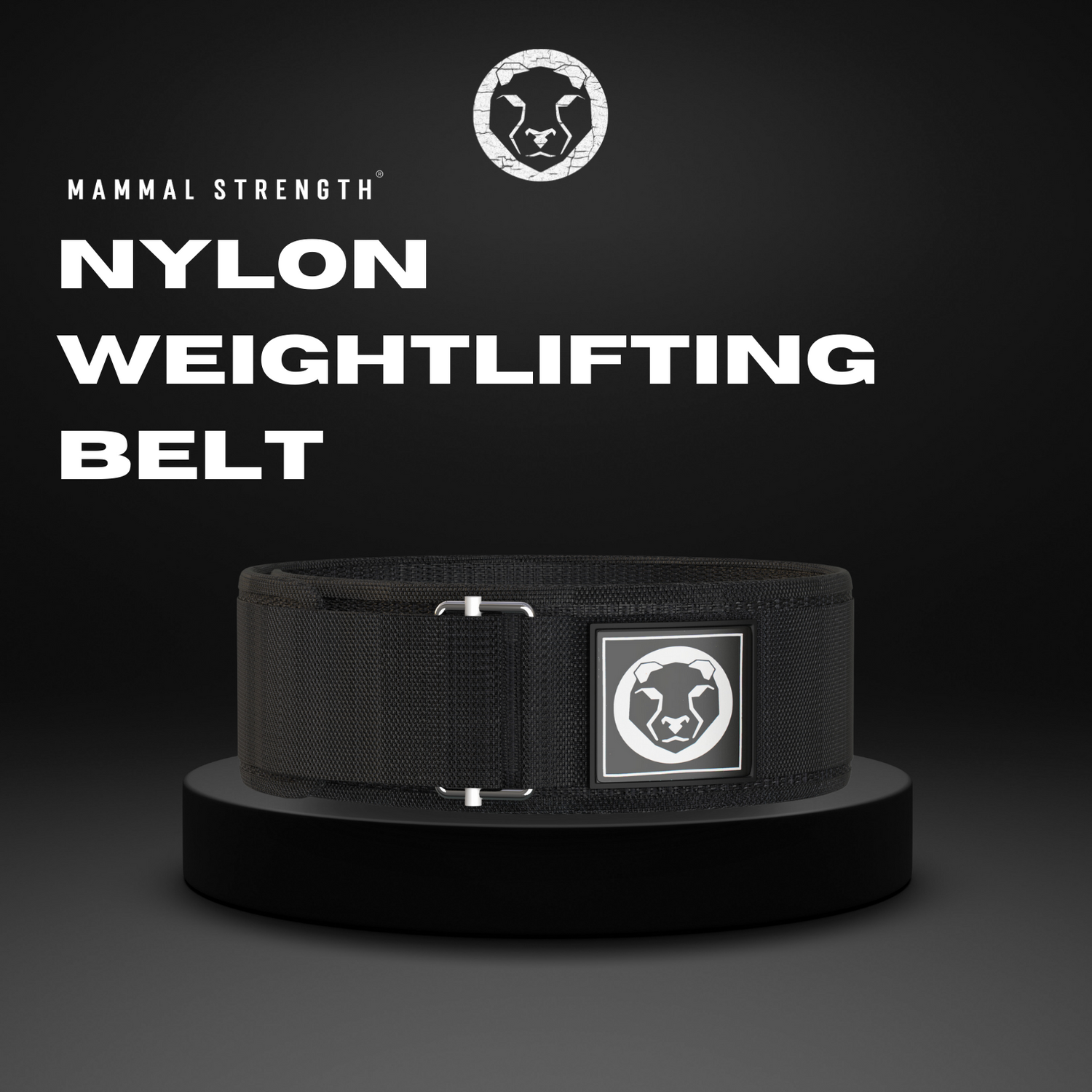4 Nylon Weightlifting Belt