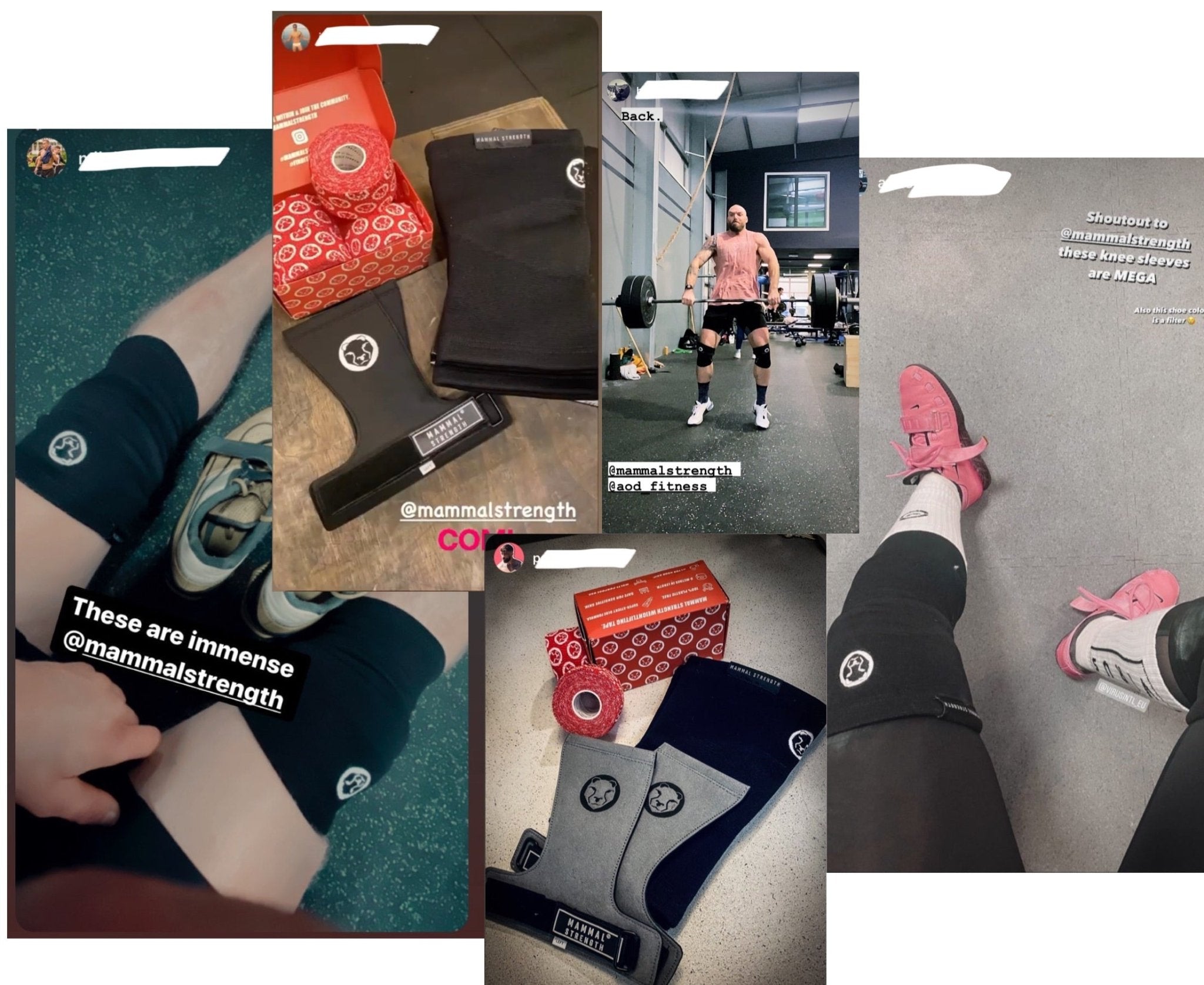 Mammal Strength Double - Ply Knee Sleeves (PAIR) - Mammal Strength